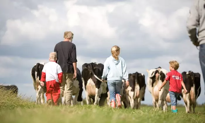 UK: 2, 4, or 7 Night Glamping For Six from £199 at Choice of Feather Down Farms - Primary Image