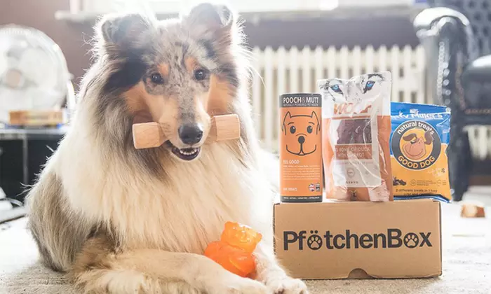 Wertgutschein für ein PfötchenBox-Abonnement für 1 oder 6 Monate bei BEFEVER SPAIN SL (bis zu 69% sparen*) - Primary Image