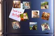 Personalisierte Foto-Magneten 5 x 5 cm oder 7 x 7 cm von Photo Gifts (bis zu 83% sparen*) - Second Medium