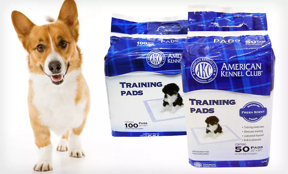 50 or 100 American Kennel Club Puppy Training Pads (Up to 63% Off). Free Shipping and Free Returns. - Primary Image