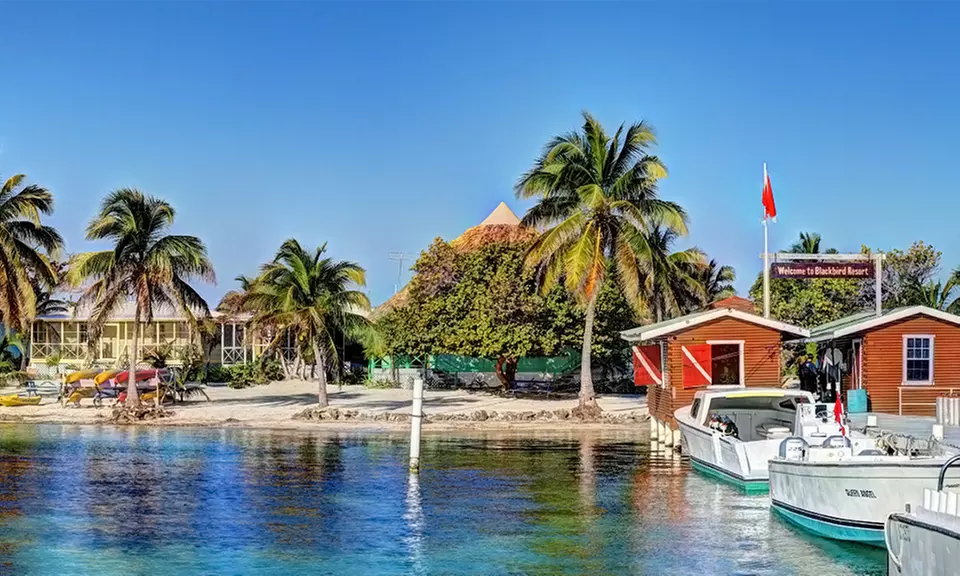 4- or 7-Night Stay for Two in Cabana with Meals & Transfers at Blackbird Caye Resort. Starting at $899; $449.50/Person. - Primary Image