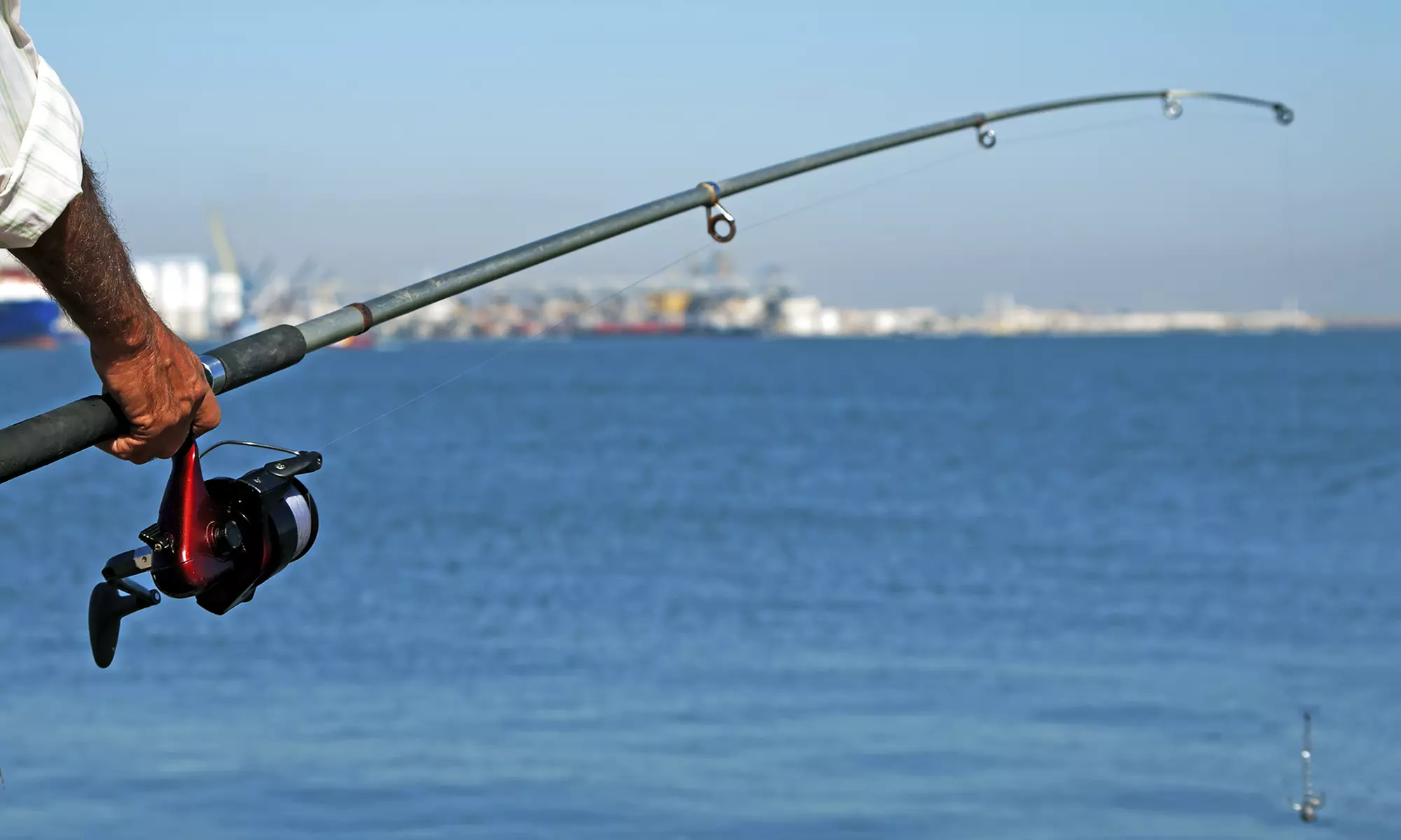 $159 for a Two-Hour Shark-Fishing Trip for Up to Three from Gillz n Thrillz Charters ($255 Value) - Primary Image