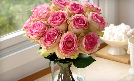 Eco-Friendly Flowers, Plants, Gourmet Treats, and Gifts from Organic Bouquet (56% Off). Two Options Available. - Primary Image