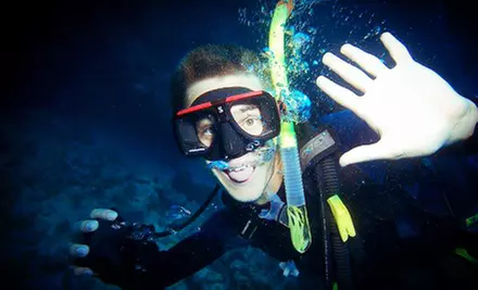 C$32 for a Two-Hour Saanich Inlet Snorkeling Tour with Rental Gear from Rockfish Divers (C$65 Value) - Primary Image