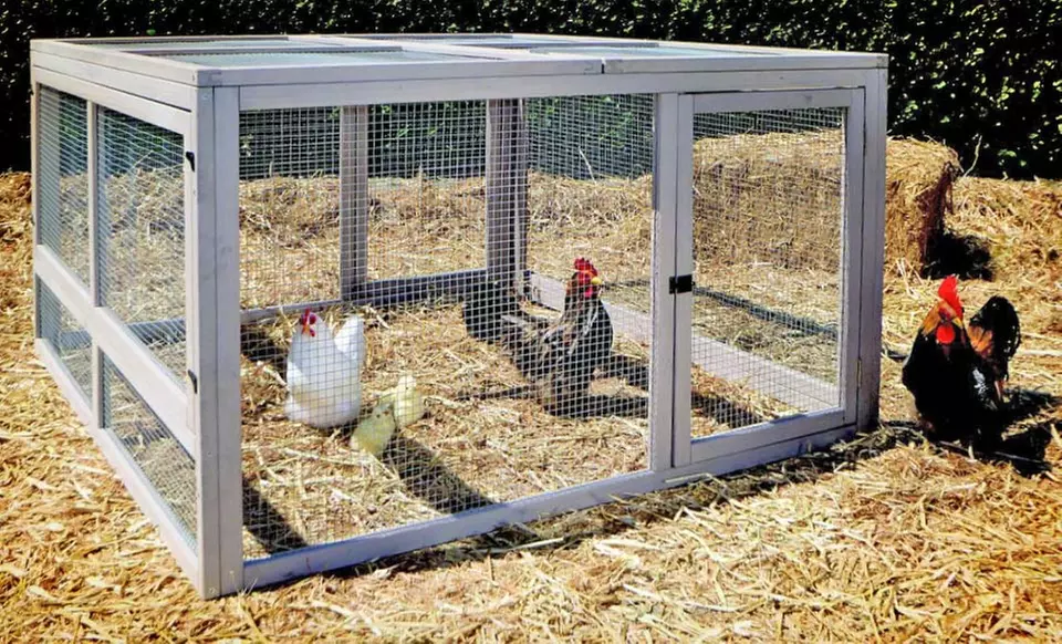 Precision Pet Hen Pen or Coop (Up to 55% Off). Free Shipping. - Second Medium