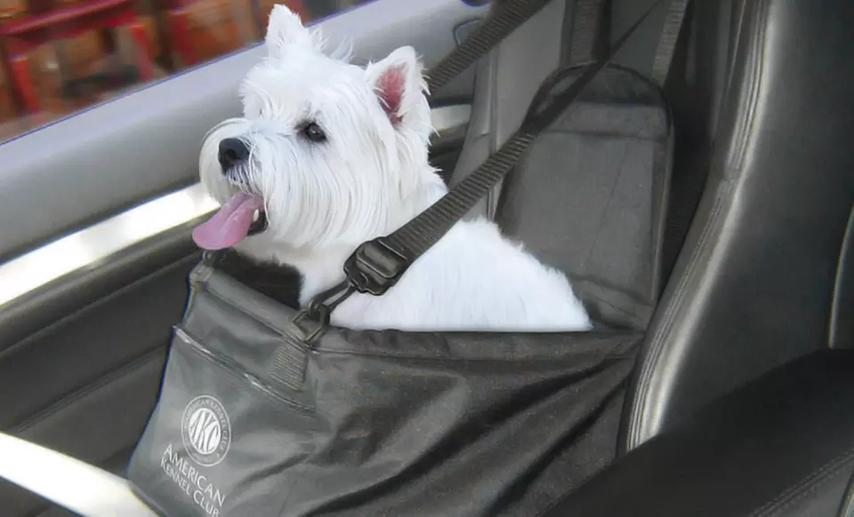 AKC Car Booster Seat - Primary Image
