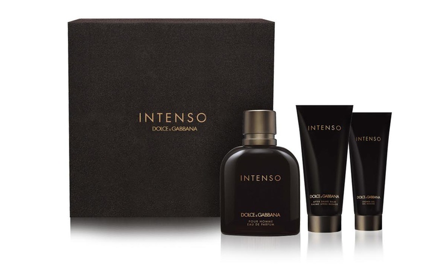 Dolce & Gabbana Intenso for Men | Groupon Goods