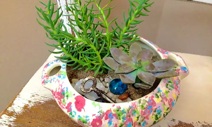 Create a Thriving Succulent Terrarium  - Primary Image