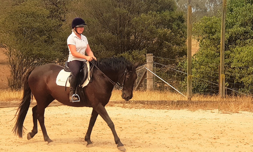 Image 3: Grooming & Horse Riding Session