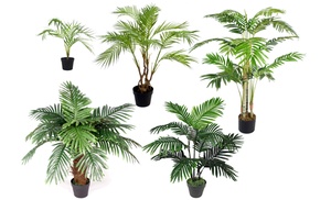 Choice of Artificial Palm Trees