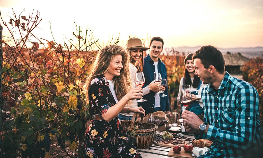 Image 3: Jusqu'à 79% de remise sur Dégustation de 12 vins du monde