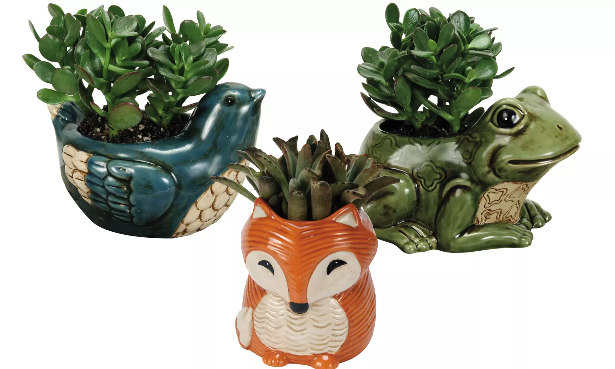 Character Planters - Primary Image