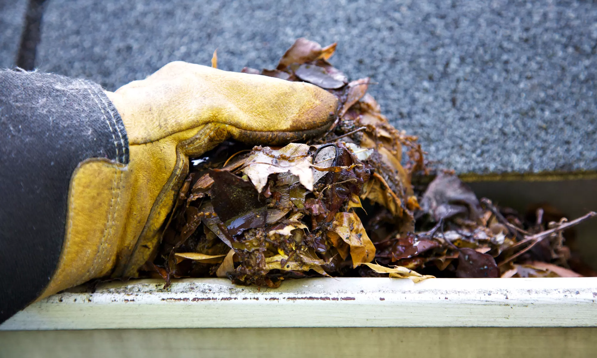 Gutter Cleaning for Up to 2,000, 3,000, or 4,000 Square Feet from Bright&Brave - Primary Image