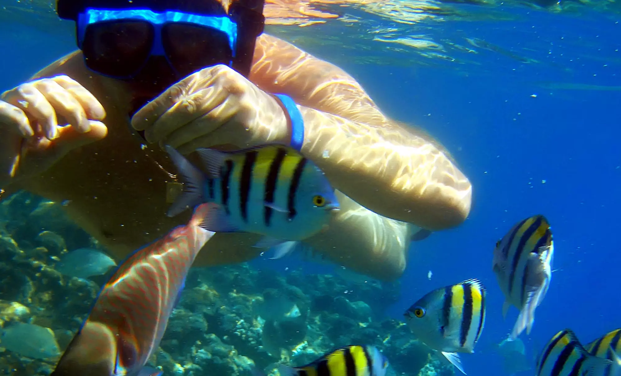 Snorkeling for Two or Snorkeling Adventure for Up to Four from Lower Keys Adventure Charters (Up to 50% Off) - Primary Image