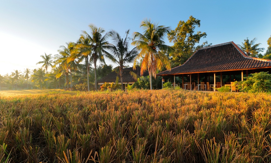 Image 13: Bali, Ubud: 3-7-Night 4* Villa Stay with Breakfast