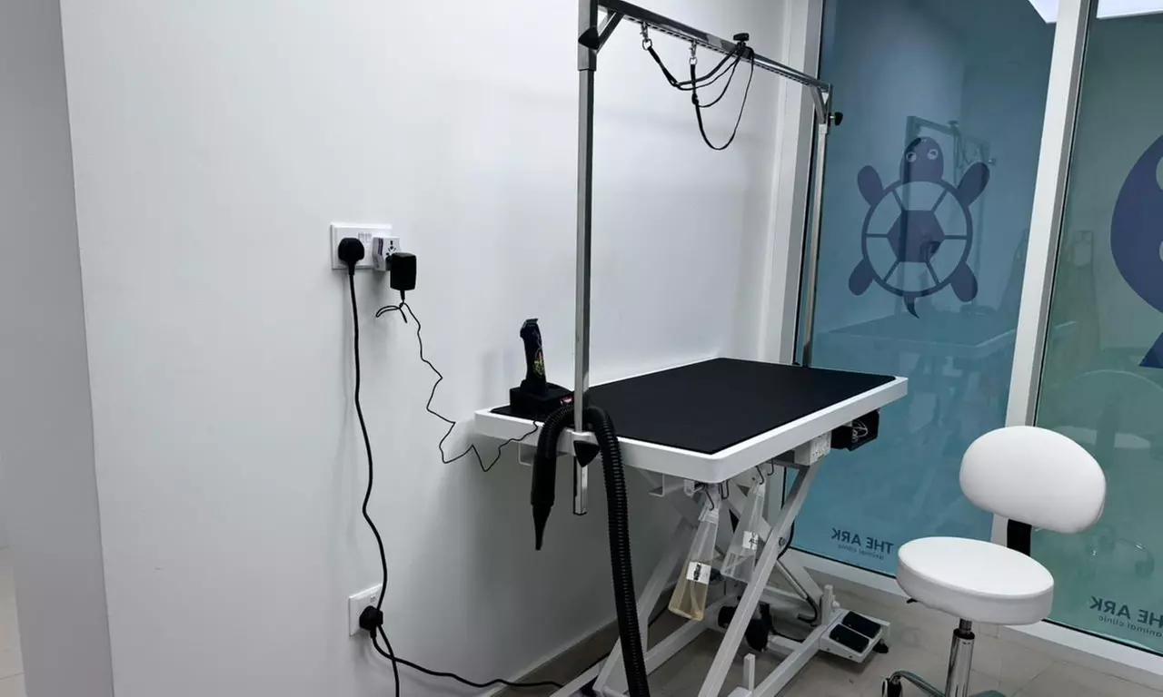 Treat your Cats/Dogs with Basic/Full Grooming from 10 to above 30 kg