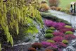 Single-Day Admission for Two, or One-Year Membership to the Horticulture Centre of the Pacific (Up to 53% Off) - Second Medium