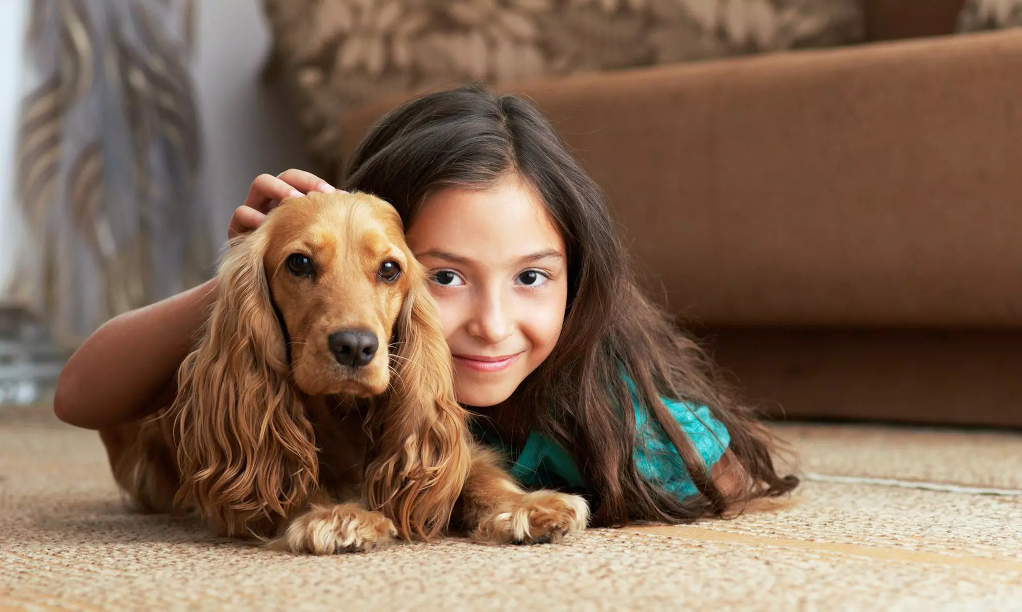 $21 for $60 Worth of Rug and Carpet Cleaning — USA Carpet Cleaning - Primary Image
