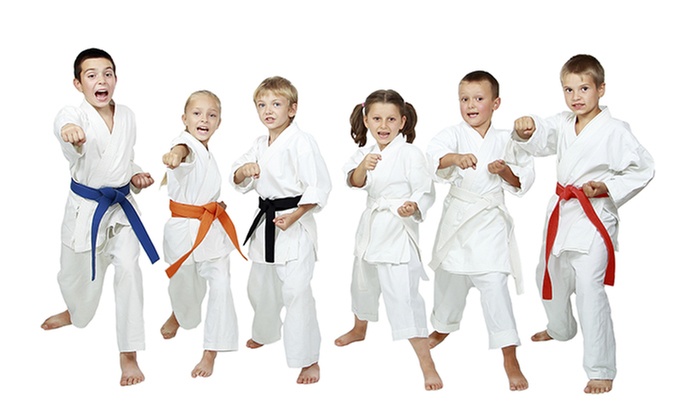 Unlimited Karate Classes