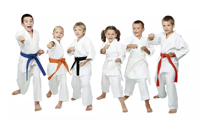 Karate Classes for One ($19), Two ($35) or Three Months ($55) at PDK Dojo Martial Arts School (Up to $360 Value) - Primary Image