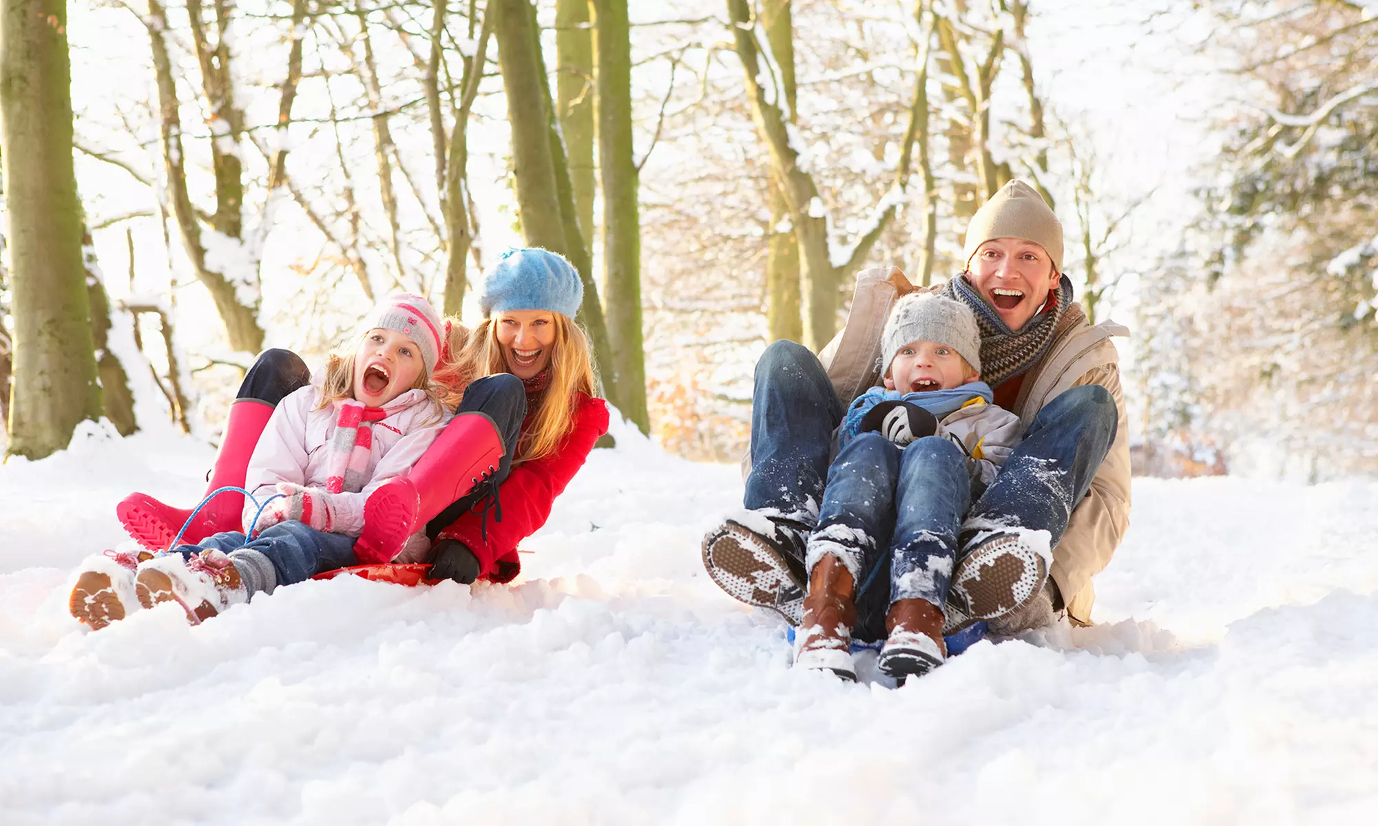 Outdoor Photo Session with 25 or 50 5"x7" Holiday Cards from Photography by Tara Sylvester (Up to 68% Off) - Primary Image