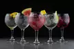 The Gin To My Tonic Festival, 25 July - 10 December, Nine Locations (Up to 30% Off) - Image 2