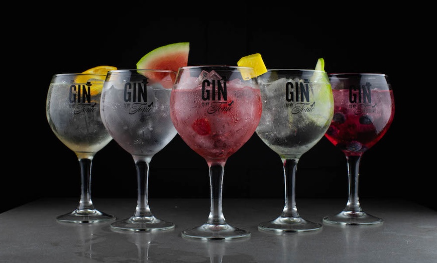 Image 2: The Gin To My Tonic Show