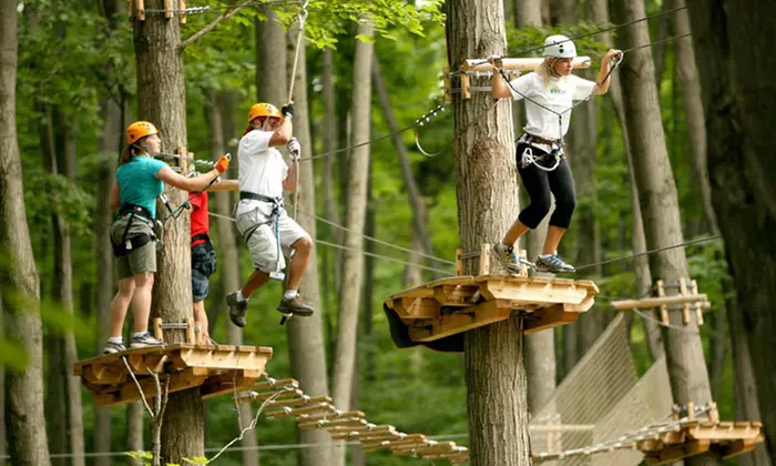 C$49 for a Three Hour Zipline and Aerial Course Tour from Treetop Trekking (C$72.32 Value)   - Primary Image
