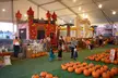 Mr. Jack O’ Lanterns Pumpkin Patch Offers Halloween fun with VIP or General Pass On Weekdays (Up to 28% Off) - Second Medium