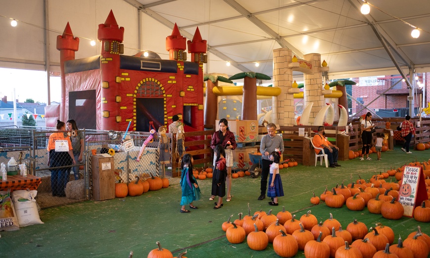 Image 2: Pumpkin Deals & VIP All-Inclusive Patch Access