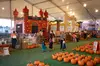 Mr. Jack O’ Lanterns Pumpkin Patch Offers Halloween fun with VIP or General Pass On Weekdays (Up to 44% Off)