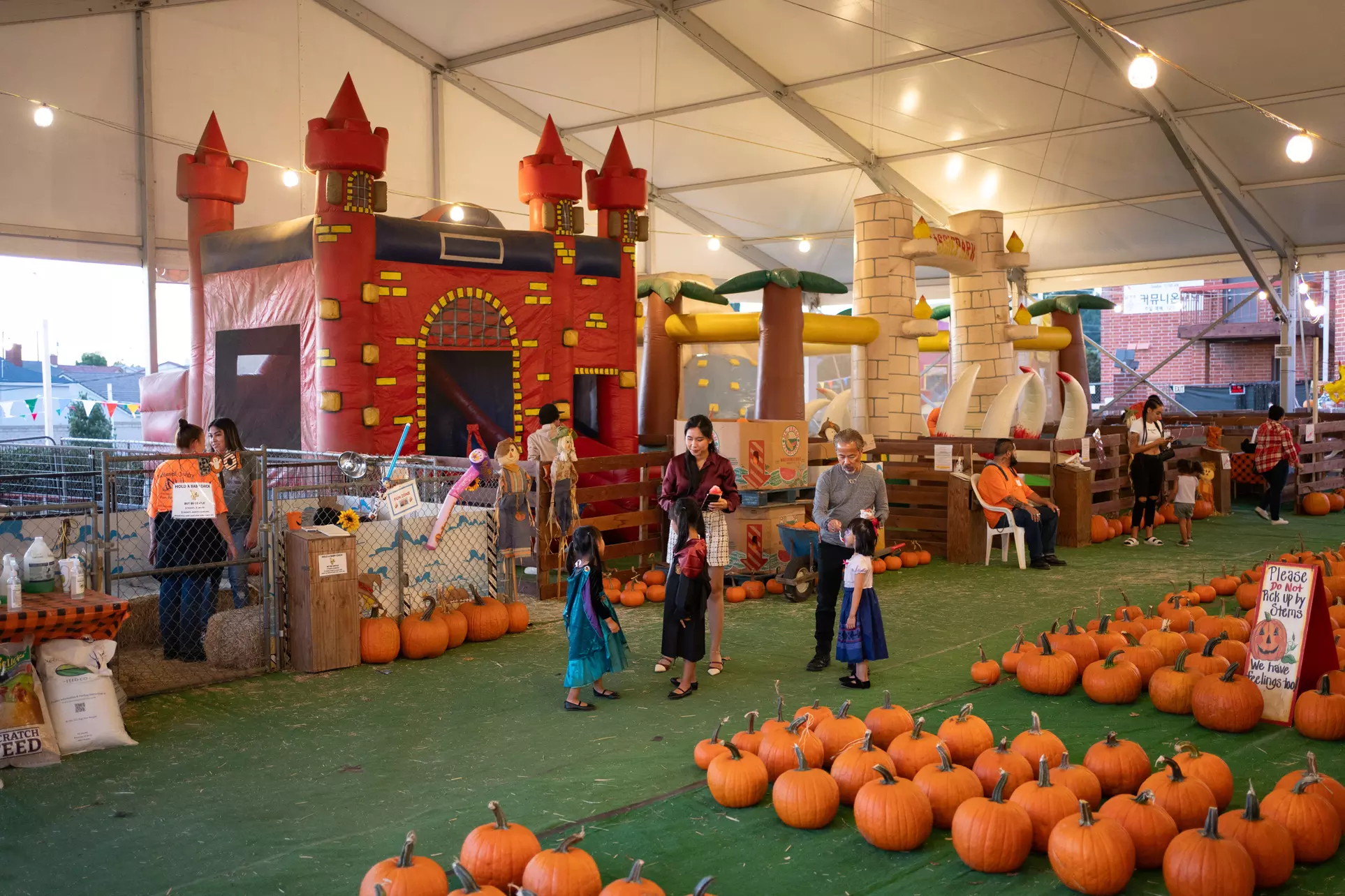 Pumpkin Deals & VIP All-Inclusive Patch Access