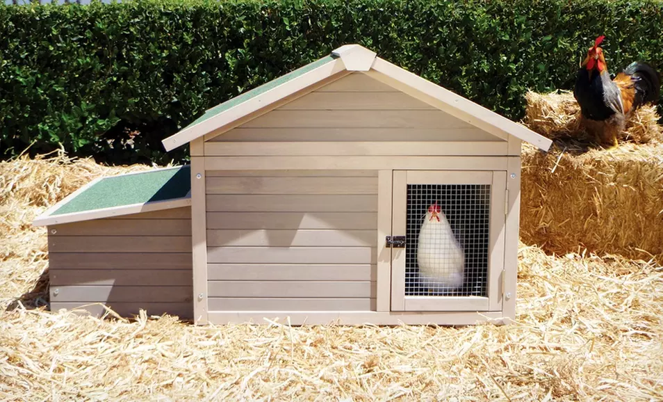 Precision Pet Urban Modular Chicken Pen Add-On or Coop (Up to 49% Off). Free Shipping. - Primary Image