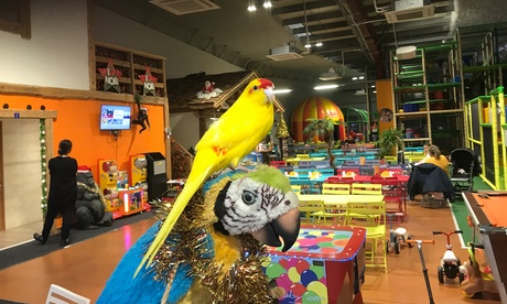 1 entrée illimité valable pour 1 enfant et 1 accompagnateur à 6,50 € au Tiki Park