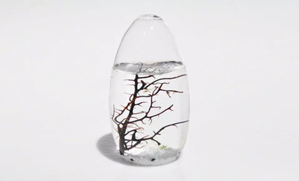$44.99 for an EcoSphere Small Pod ($79 List Price). Free Shipping and Returns. - Second Medium