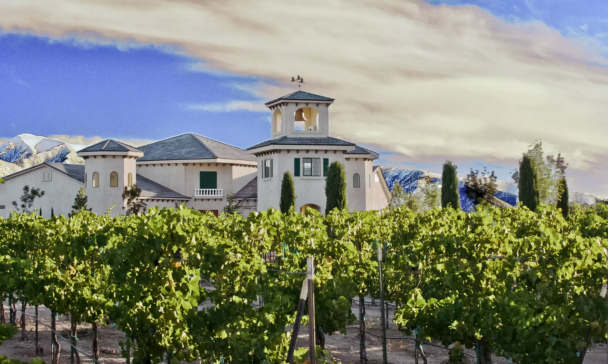 Six-Hour Wine Tour with Gourmet Lunch for Two, Four, Six, or Eight from Imbibe Tours - Las Vegas (Up to 46% Off)  - Primary Image
