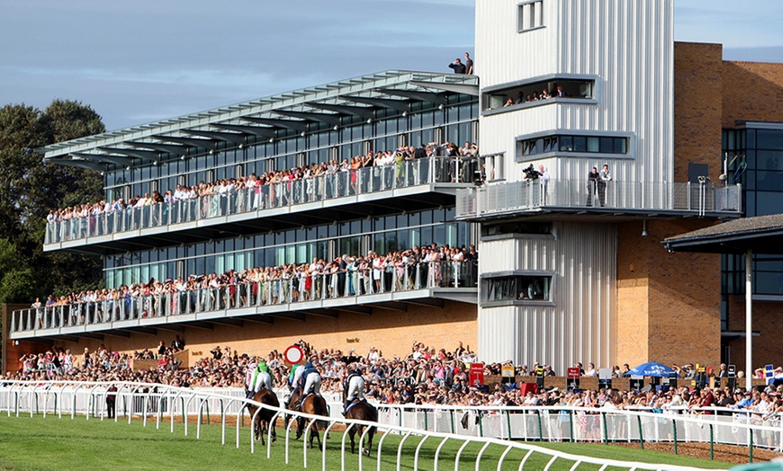 Image 4: Family Raceday For Up To Six Kids