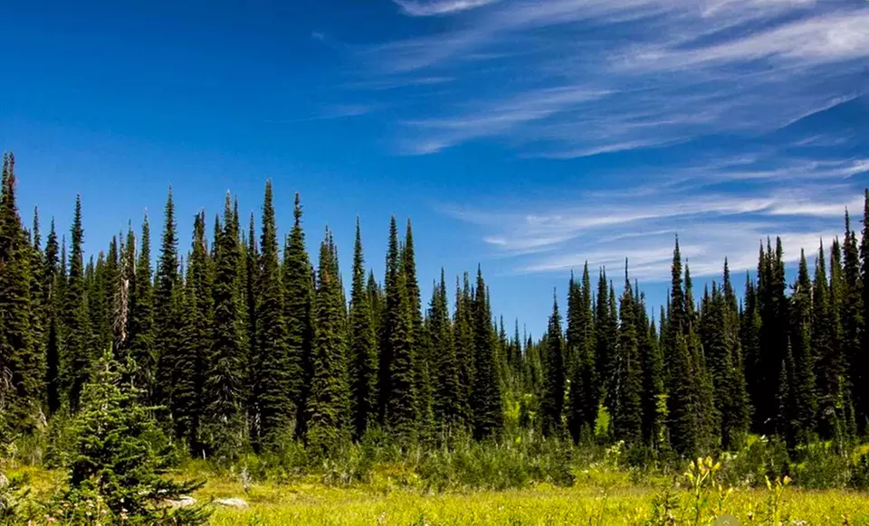 2-Night Stay at Glacier House Resort in Revelstoke, BC. Combine Up to 8 Nights. - Second Medium