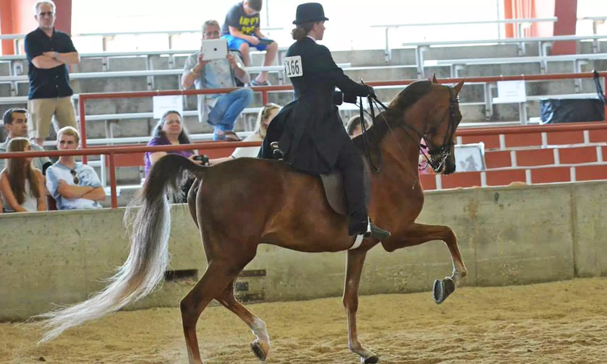 5 or 10 Horseback-Riding Lessons, or Birthday Party at Caitlin Carmody Stables LLC (Up to 51% Off) - Primary Image