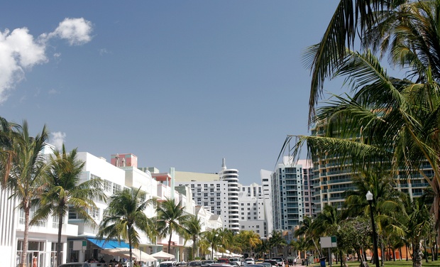 Royal Palm South Beach Miami | Groupon