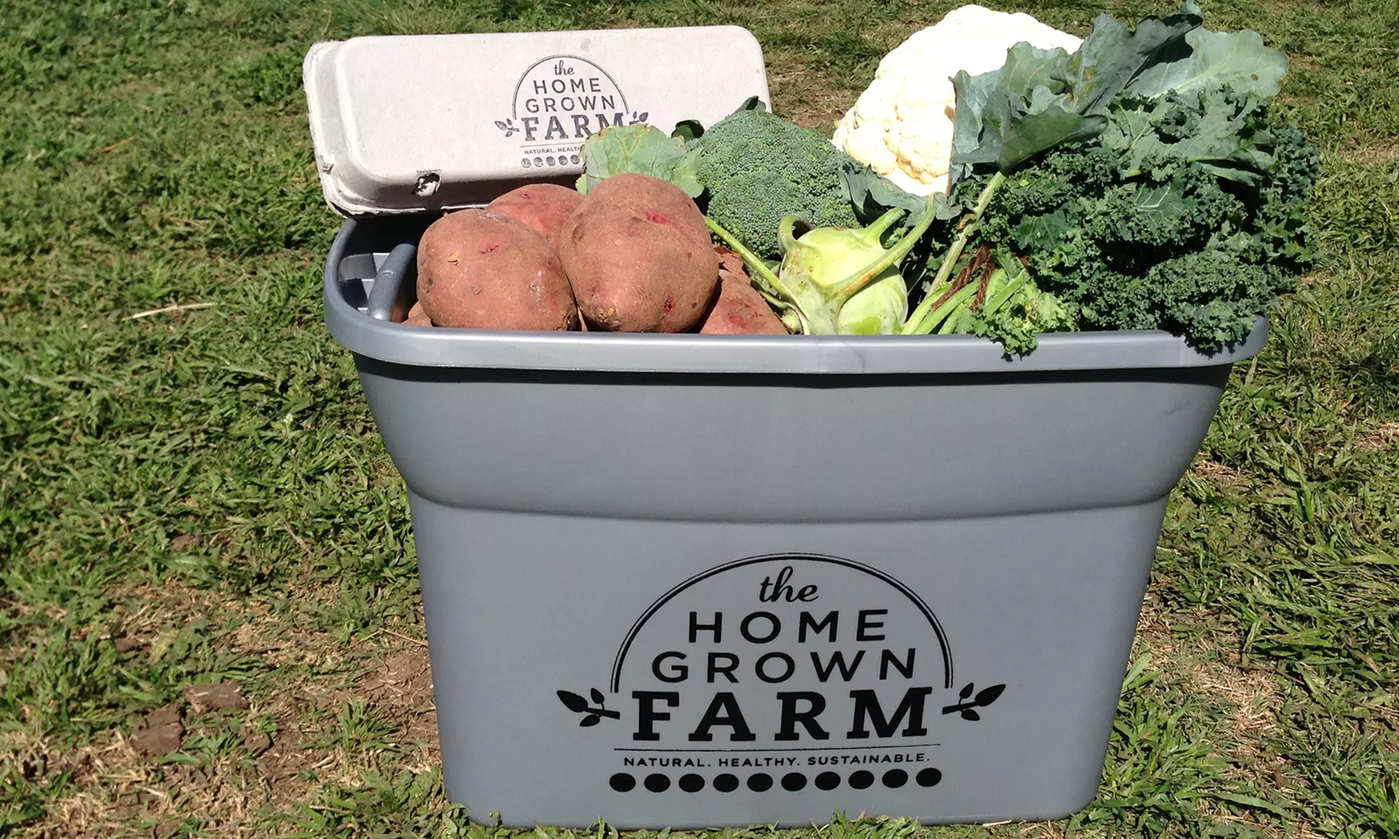 $52 for CSA Membership and Box of Delivered Produce from The Home Grown Farm ($105 Value) - Primary Image