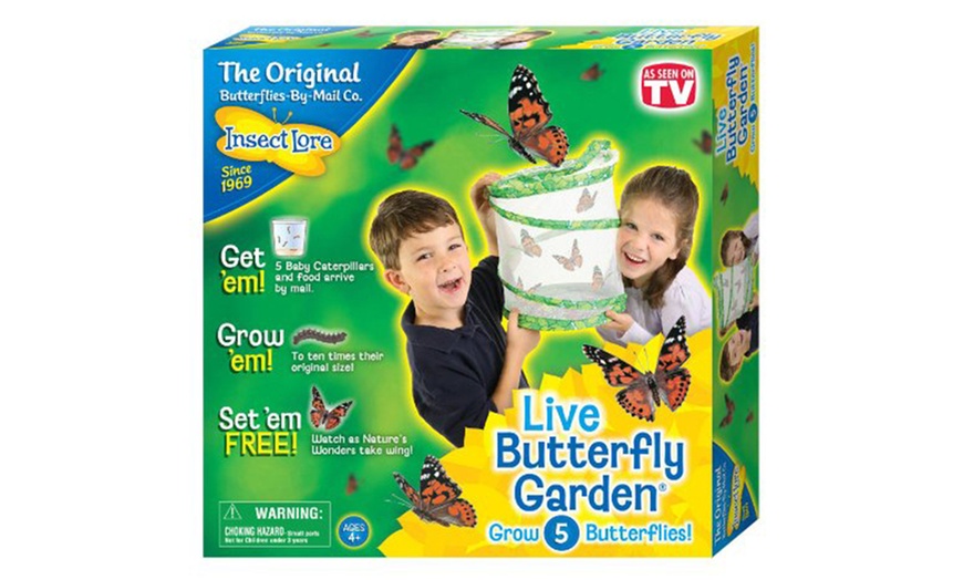 Image 1: Butterfly Garden Hatching Kit