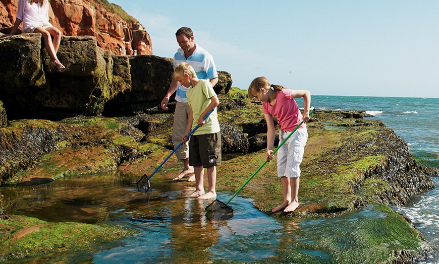 Image 6: Exmoor: Family Activity Day £10