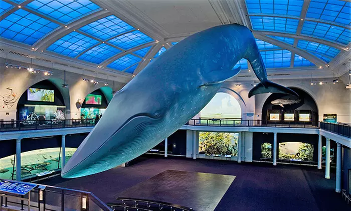 Dual or Family Membership with Space Show Tickets at American Museum of Natural History (Up to 41% Off)  - Primary Image