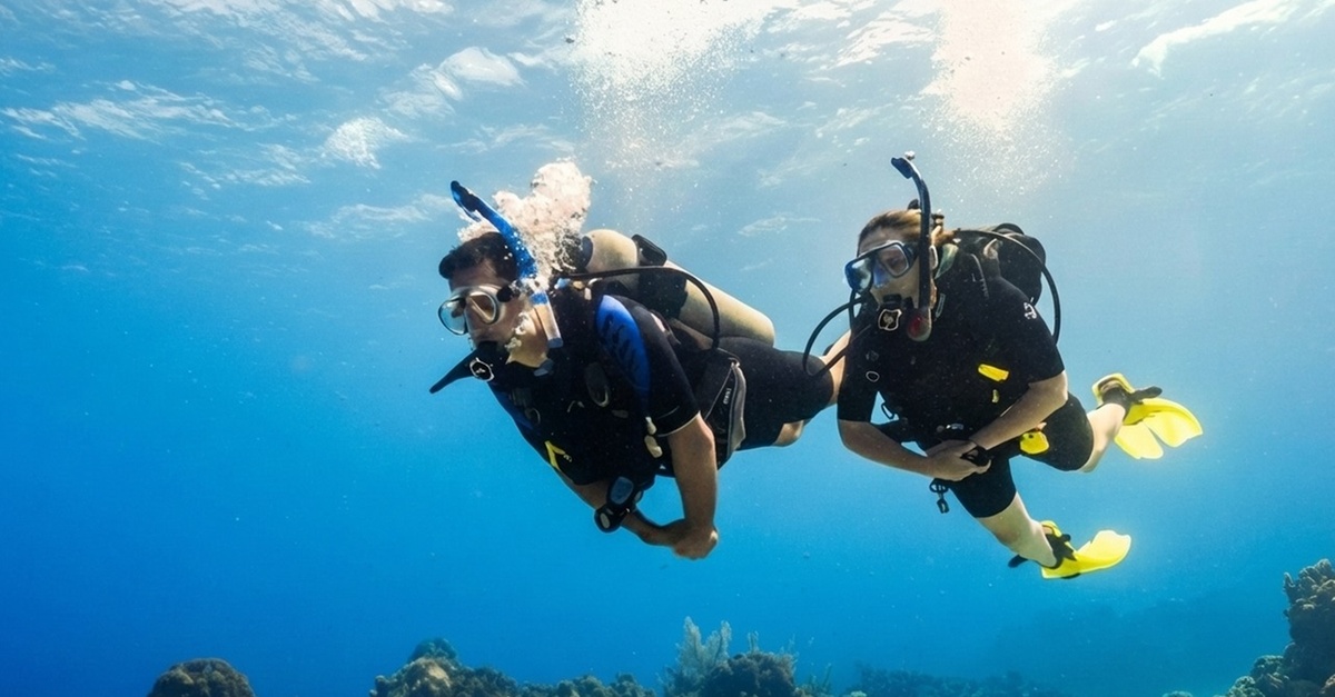 Shore Dive To Snoopy Islands Thriving Reef In Fujairah Marine Park Shore Dive To Snoopy Islands Thriving Reef In Fujairah Marine Park