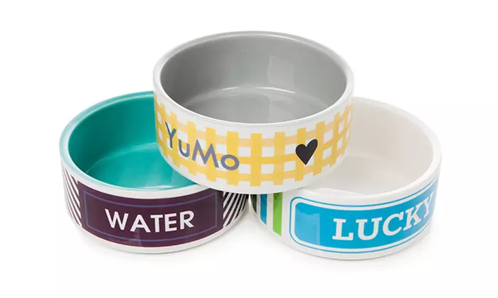 Customized Pet Bowl from Shutterfly (Up to 50% Off). Two Sizes Available. - Second Medium