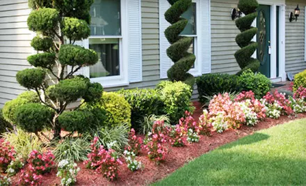Spring Cleanup Package or Mulch Delivery and Installation from Scrubnik Landscape (Half Off) - Primary Image