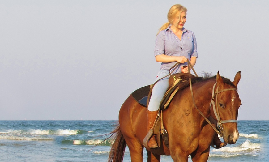 Horses on the Beach: Corpus Christi in - Corpus Christi, TX | Groupon