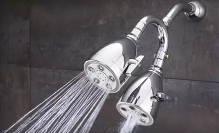 $89 for a Speakman Hotel Heavenly Dual Showerhead ($187 List Price). Free Shipping.  - Primary Image