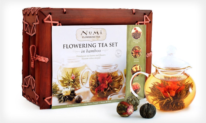 Numi Organic Tea Flowering Gift Set | Groupon